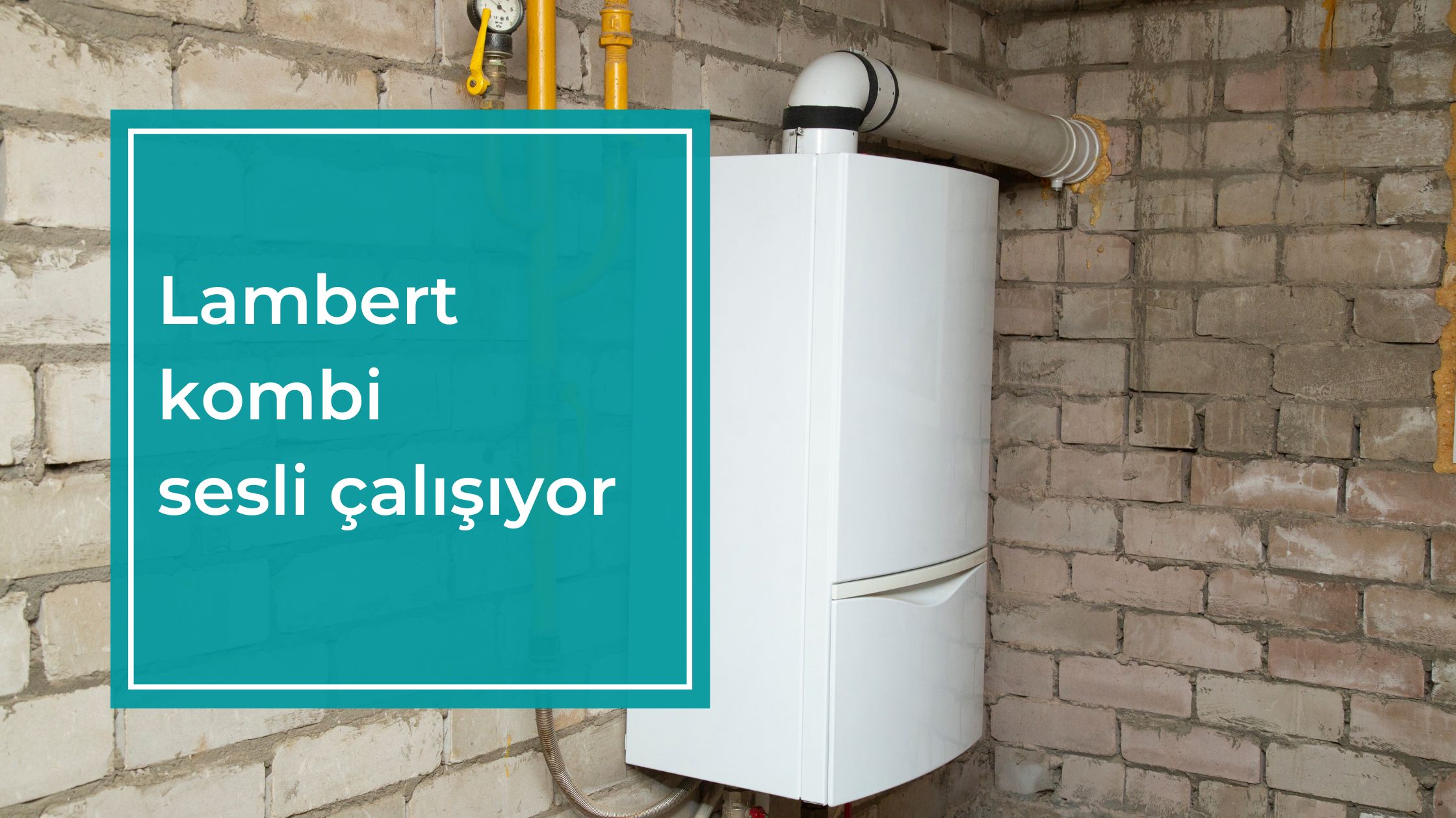 Lambert Kombi Sesli Çalışıyor